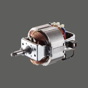 Mincer মোটর