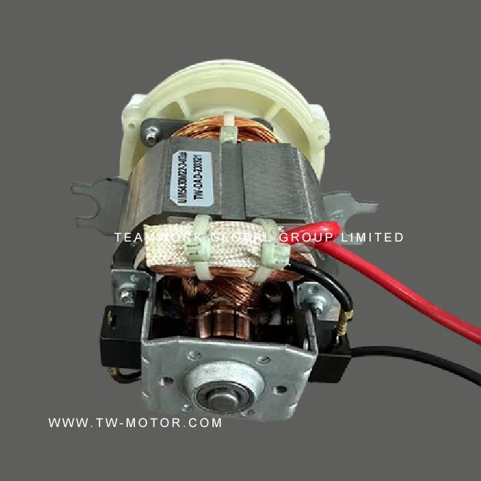 Electric Grinder Motor